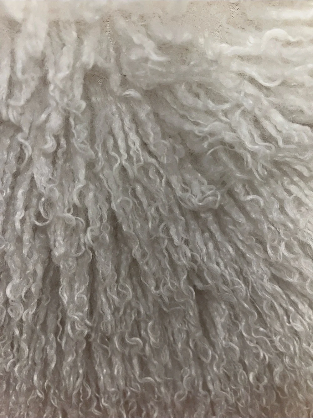 Amazing Beautiful REAL Mongolian Sheep  20 by 20 pillow with pillow insert